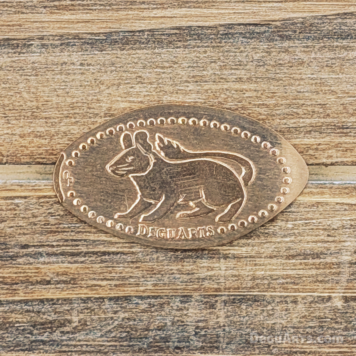 Degu Elongated Coin