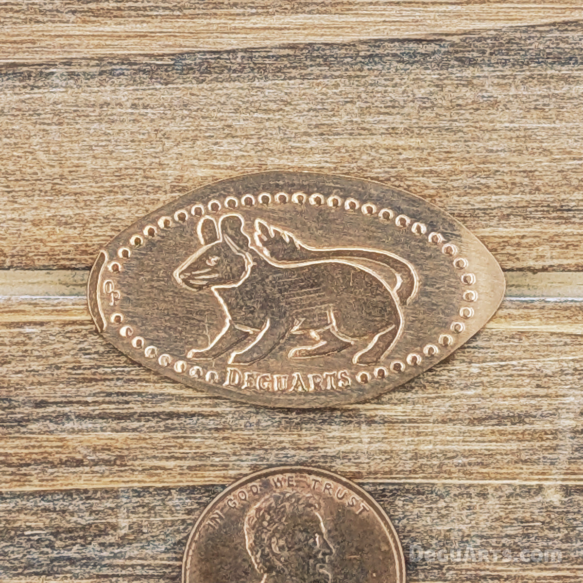 Degu Elongated Coin