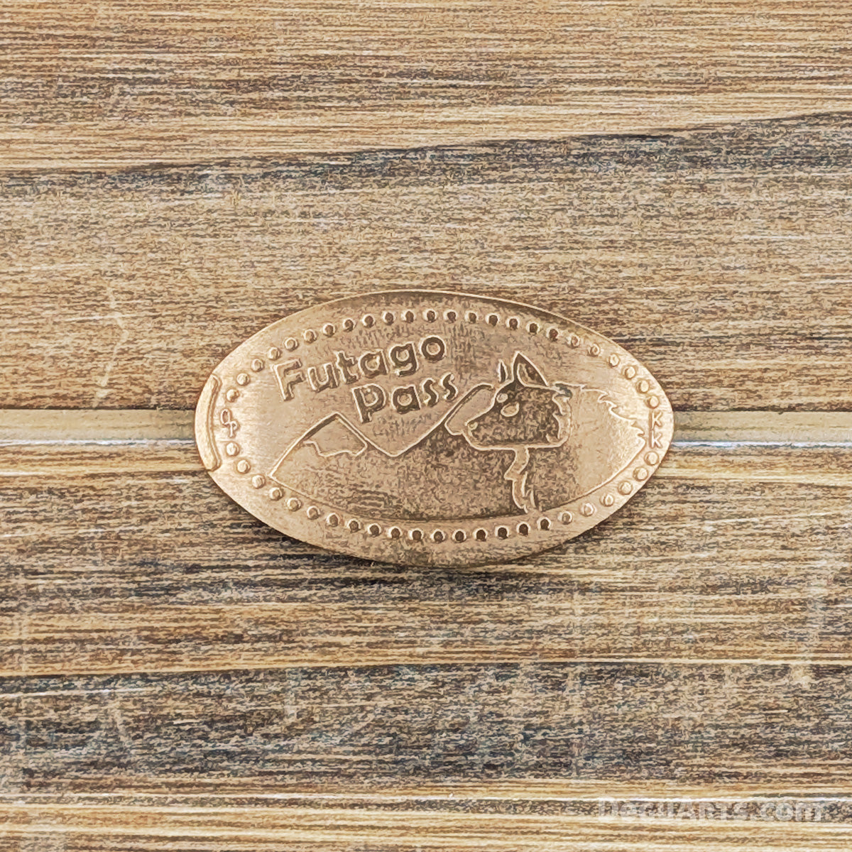 Futago Pass Elongated Coin