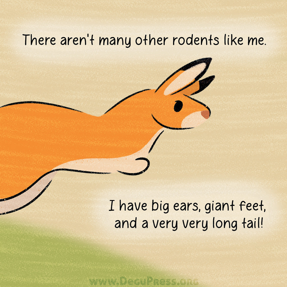 Springhare Makes Some Friends eBook