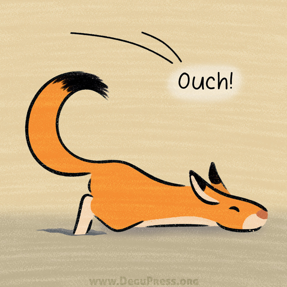 Springhare Makes Some Friends eBook